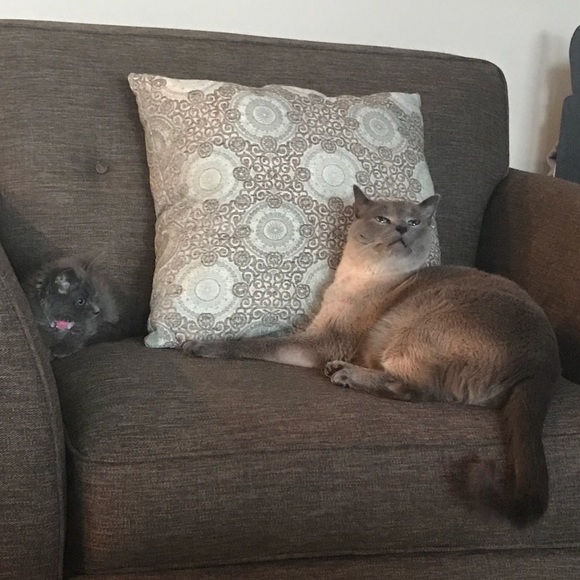 Meet your Posher, Sarah - Picture 13 of 13